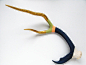 Painted Antler - EXTRA LARGE - Sika - Gold, Green, Peach & Navy Striped