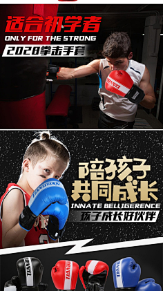 柔道 跆拳道 空手道 搏击 摔跤 散打 跆拳道海报 柔道图片 武术宣传