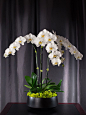 orchid arrangement Impression: 