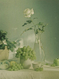 #INCH# 今日推荐滤镜 duckweed（浮萍）
有关夏日的小美好，是一杯酸酸甜甜的气泡水，是阳台上新长出的嫩芽，还有透过窗外树枝照进卧室的几米阳光。

现在就打开#INCH相机# ，一起记录夏日的美好印记吧！

#手机摄影# #小清新# #夏日打卡# #夏日摄影# ​​​​