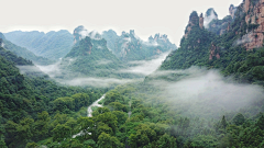 花虾采集到背景