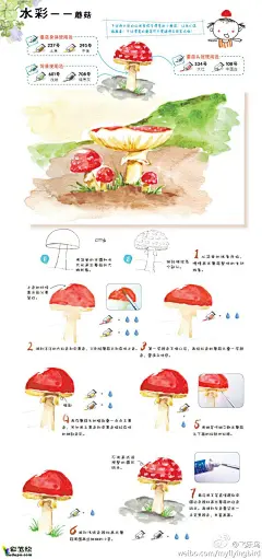 【　　　】飞乐鸟微博教程——水彩蘑菇-水彩画入门|彩铅画|水彩画|彩笔绘-素描彩铅网 - dudupo.com