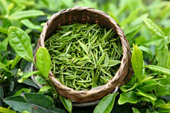 是仙乐啊采集到茶