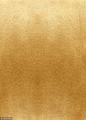 金粉1