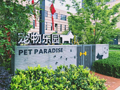 sanyueyanhuayu采集到宠物乐园
