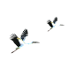 鹤