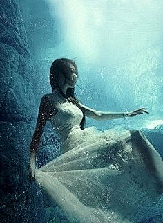 梦幻颖绕采集到水下摄影之魅