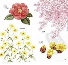 水彩花园 春夏秋冬花卉 简单花朵水彩画法 XF078