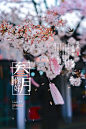 三月你好图片配图海报大全，3月你好朋友圈心情说说文案句子