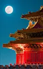 【知识星球：地产重案】