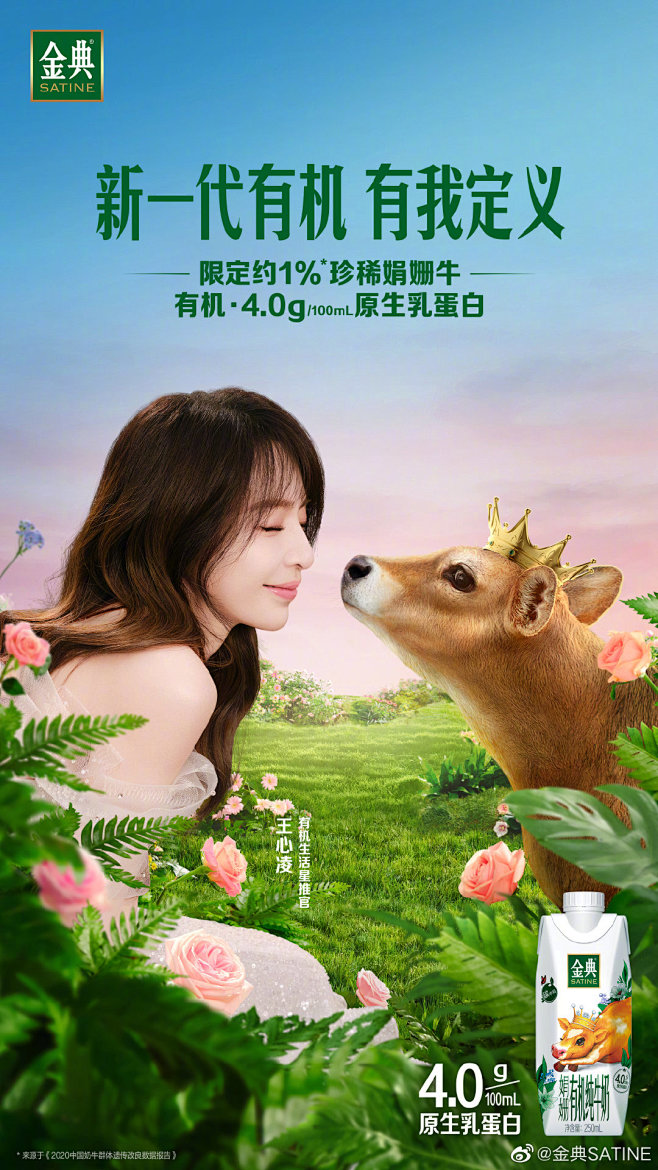 @金典SATINE 的个人主页 - 微博