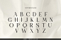 Amiora时尚优雅连笔轻奢时装品牌logo海报杂志排版标题英文字体包
