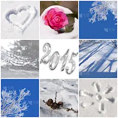 雪,冬天,2015年,抽象拼贴画,合成图像,贺卡,茶花,无人,新年,特写