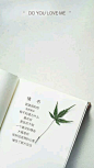 【壁纸】橘生淮南，八月长安_壁纸吧_百度贴吧
