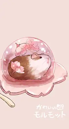 从猪猪和【花花】【水果】【和食】中每个系列挑了三张做了9张手机壁纸w自取哈 ​​​​