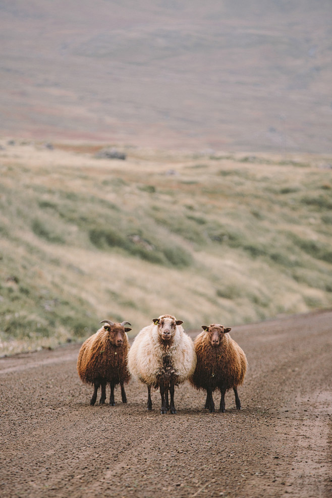 The Westfjords of Ic...