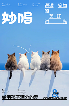薯条土豆块采集到海报