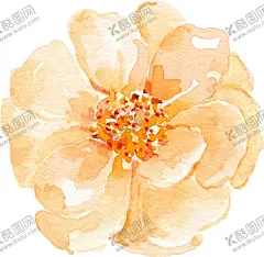 水彩植物花朵装饰 【酷图网】水彩绘画,植物花朵,水彩花卉,水彩鲜花,淡色水彩,暖色水彩花朵,菊花玫瑰花