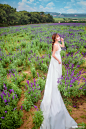 吾爱视觉摄影的婚纱摄影作品《韩式薰衣草外景》