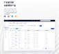 安信财富管家 B端 PC端 表格