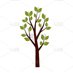 泉,创造力,自然,华丽的,高雅,图像,苹果树,壁纸,树,装饰