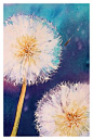 Make A Wish by ~rsharts    Artist's Statement.  Dandelion seed heads have always held a fascination for me, this is the latest in a series of water colours exploring their ethereal nature.