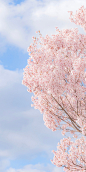春暖花开 | 奔你而来