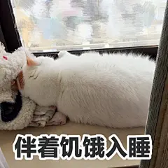 @楼板娘 @2楼哎呦喂多多 楼楼表情包第二弹——吃货 ​​​​