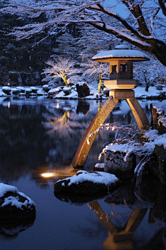 蛇胆枇杷鹿采集到风景