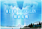 MEDM × EVANGELION