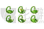 食品,果汁,水滴,叶子,水,绿色,健康食物,清新,维生素,布置