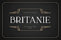 Britanie衬线优雅欧式奢侈品logo英文字体下载-topimage