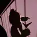 拢龙-