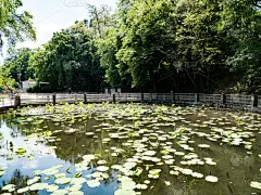 湖与水利利斯湖， 费利克斯浴 - 贝利费利克斯， 比霍尔， 罗马尼亚