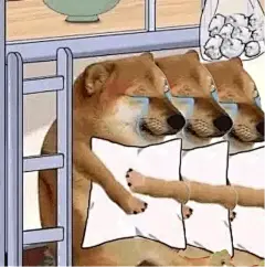 狗狗抱枕头哭哭的表情包！✖️6 - 小红书
