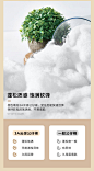 林氏木业轻奢简约布艺沙发客厅家用小户型三人位沙发组合家具S181-tmall.com天猫