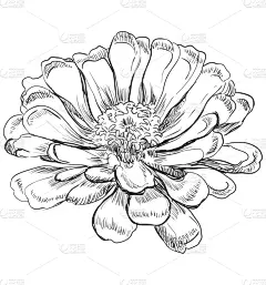 矢量,绘画插图,动物手,数字6,清新,背景分离,铅笔,复古风格,春天,艺术品