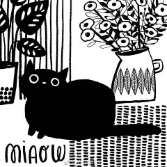 一组黑白手绘猫猫~   来自：猫奴插画师Angie Rrozelaar （转）via @插画师精选 ​​​​
