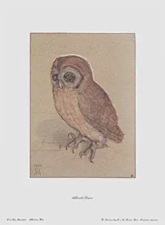 世界名画|360万幅进口装饰画|室内装饰画批发|室内装修挂画|国外经典装饰画|客厅书房软装配饰画|欧美原版海报|艺术品投资|摄影作品|美术院校教学用画|网上艺术博物馆_经典传承®精品风景线©装饰画超市