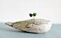 [cp]日本艺术家金子佐知恵的手工陶艺作品。清新又可爱。[心][/cp]
