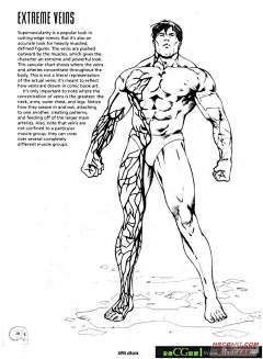 tnayuCcX采集到人体绘画技法