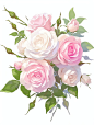 designteam_Pink_and_white_roses_hand_drawn_Makoto_Shinkai_white_92639764-2a68-4784-bff8-4b6c90f9044b