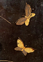 柠檬花叔资源库 [http://2183934212.qzone.qq.com]
