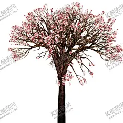 中国风水墨花卉PNG免扣 【酷图网】树木,红梅,古风,飞檐,屋顶,新春,新年,水彩,花卉,海棠花,樱花,桃花,工笔画,点缀,装饰,前景,免抠,合成,素材,梅花,花朵,树枝,枝头,手绘,海报,设计,插画,插图,明信片,冬日,冬季,春天,背景,