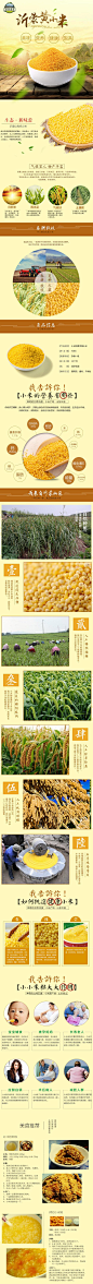 小米电商食品详情页