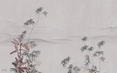 皮皮家的骞骞宝贝啊采集到墙画