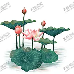手绘荷花  【酷图网】手绘荷花,水墨荷花,夏日荷花,湖水,荷花,莲花,荷叶,莲蓬,夏季广告,夏日海滩,冰爽盛夏,清凉一夏海报,清爽一夏,激情盛夏,夏季海报,冰凉夏日,夏季促销,夏天促销,激爽夏日,夏天素材,夏季素材,荷花背景,水墨背景,水墨荷花背景,夏天背景素材,夏季促销钜惠,夏季背景素材,
