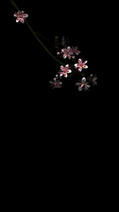 【高清手机壁纸。风景美图。城市风光摄影。设计灵感。桌面锁屏。日系韩系欧美。小清新。】❤️