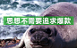 把海陆空动物都盘上，印象笔记这个新年广告玩嗨了