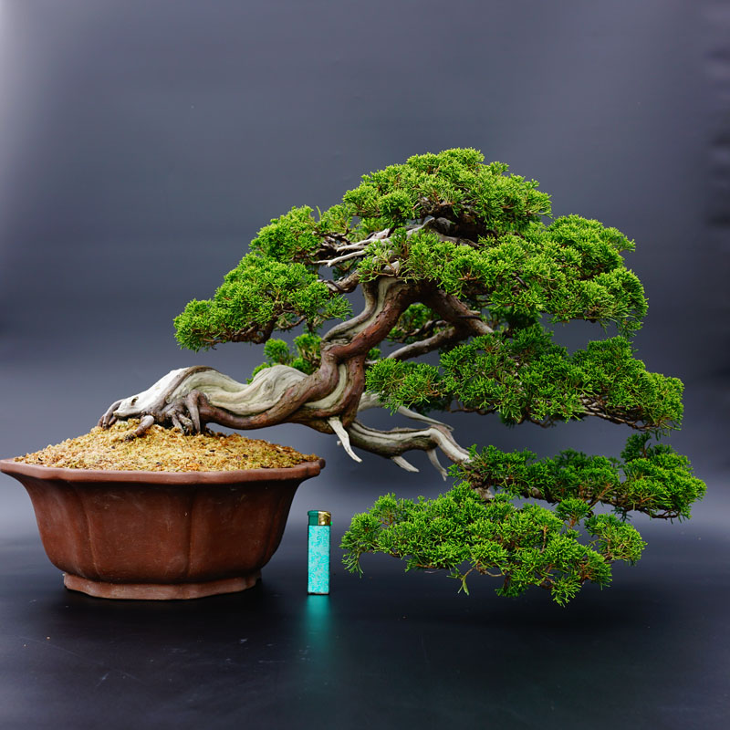 0ba3247ee2a89d2164c50f989dcc4f